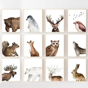 Wildwood Collection - Full Woodland + Arctic Animal Collection Without Words - Instant Download